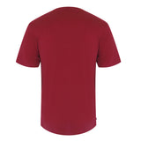 Aquascutum Active Active Cotton Stripes T-Shirt Bordeaux Aa_Core_Ts001_14 Burgundy T-Shirt Mens