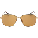 Tom Ford Pierre-02 Brown Lens Gold Sunglasses